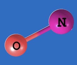 A Tiny Molecule with Big Health Benefits: Understanding Nitric Oxide